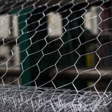 Hexagonal iron mesh twisting net